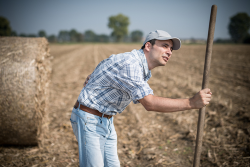 farmer back pain