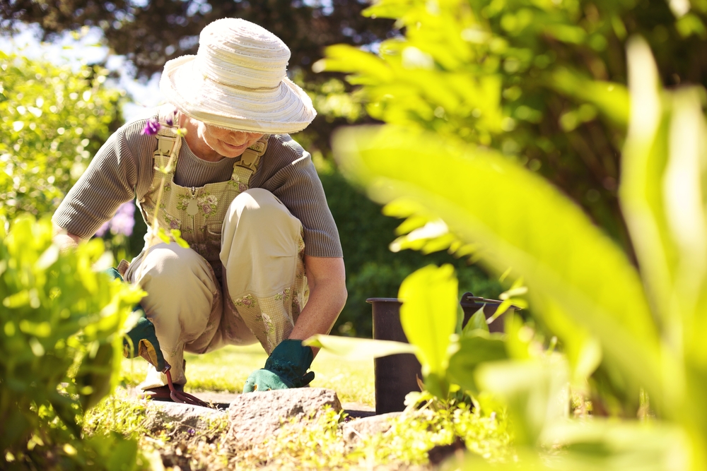 Senior woman gardening in springtime with hat on